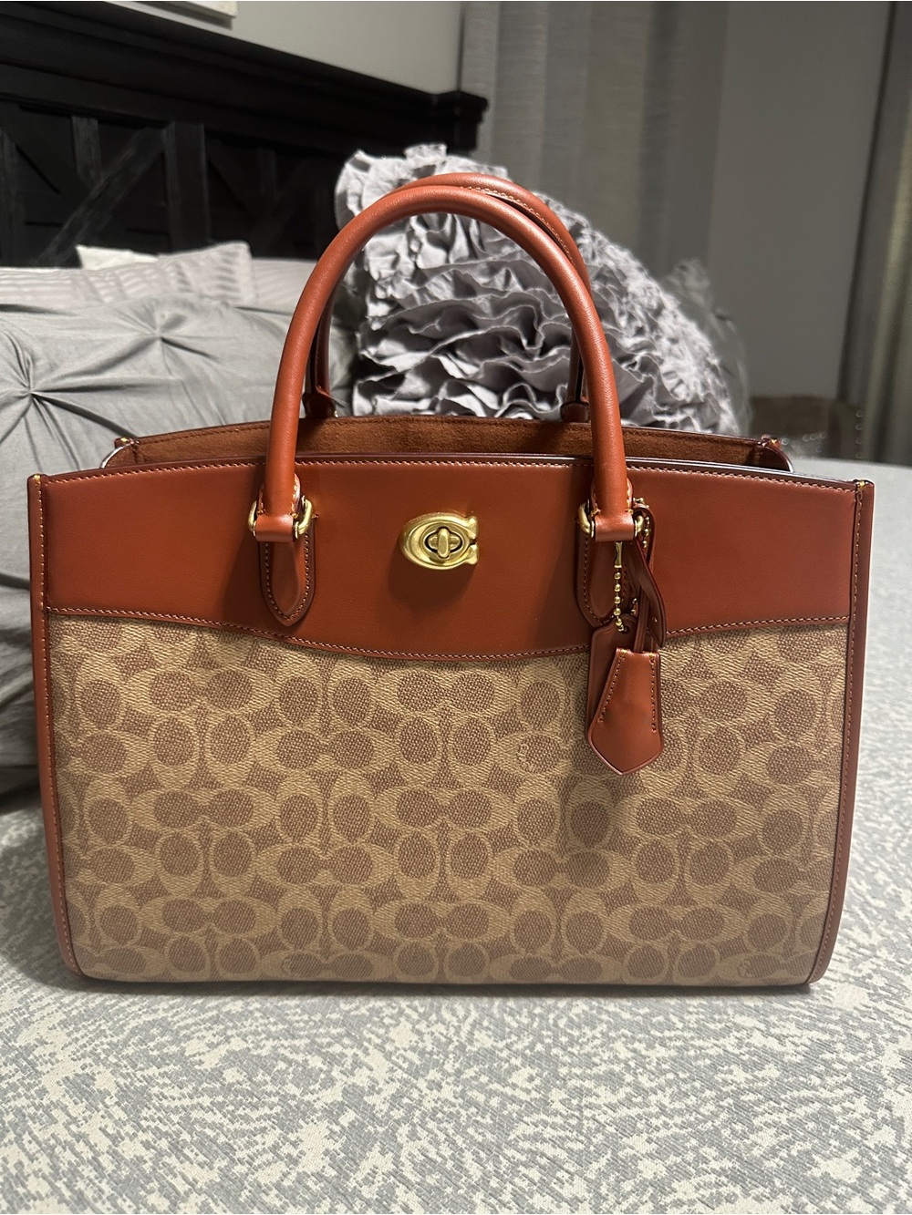COACH BROOKE CARRYALL